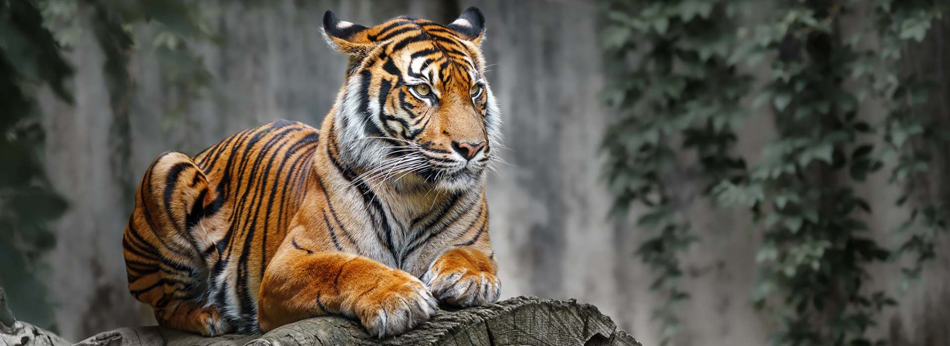 4Days Nainital & Jim Corbett Tour - Welcome To India Trip Advice