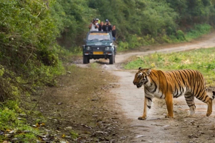 4 Days Nainital & Jim Corbett Tour