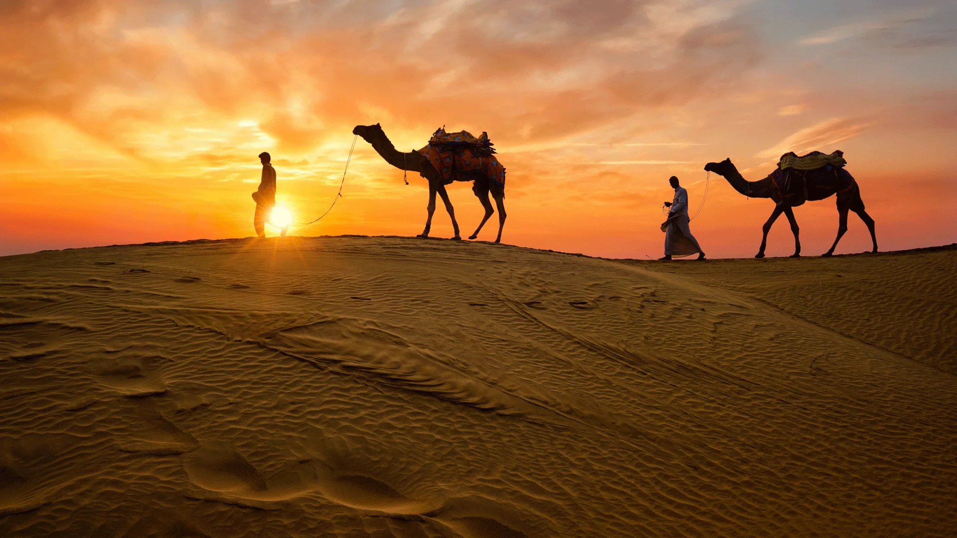 Rajasthan Tour Packages – Explore the Royal Heritage of India with India Trip Advice